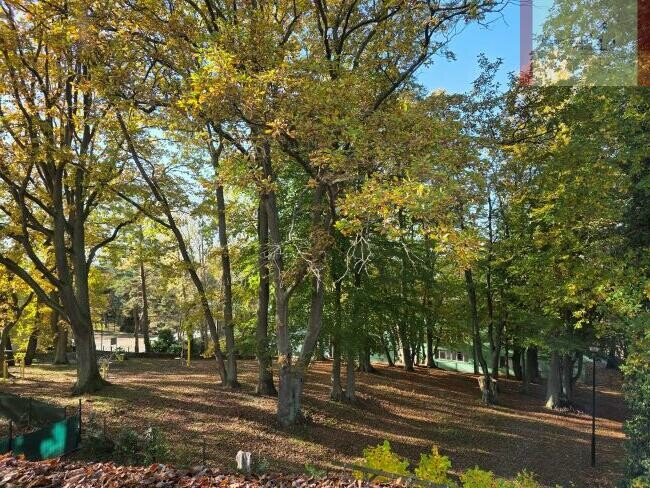 pucki, Władysławowo, Jastrzębia Góra, Klonowa, Twoje miejsce nad Bałtykiem –  2-pokojowy apartament wakacyjny